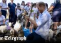 Prince Harry gets down with the kids at goat yoga