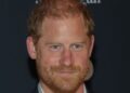 Prince Harry makes TV appearance with celebrity pal and tells him off | Royal | News