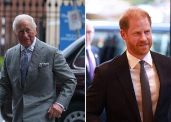 Royal experts said the ongoing security dispute has further strained Prince Harry's relationship with King Charles and the royal family.MEGA