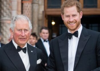 Prince Harry’s Royal Return Hopes Dashed by King Charles — Insider