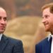 Prince William, Prince Harrys former aide breaks silence on royal brothers feud