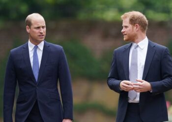 Prince William and Harry's friend engaged to tennis legend Maria Sharapova - Celebrity News - Entertainment