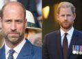 Prince William shuts door on Harry as he sees royal reunion bid as selfish