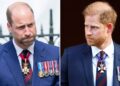 Prince William ‘no longer recognizes’ Prince Harry as security battle leaves duke ‘close to tears’: expert