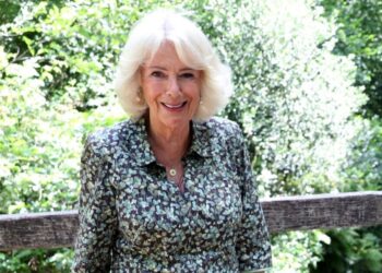 Queen Camilla ignores Prince Harry drama with new surprise appearance | Royal | News