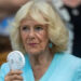 Queen Camilla’s Role in Prince Harry-King Charles Meeting Revealed — Royal Author
