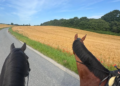 The Danish royal couple enjoys exploring the scenic countryside surrounding Gråsten Palace on horseback during their summer holiday.