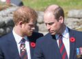 Royal Family LIVE: Prince William told to see Prince Harry on forthcoming trip | Royal | News