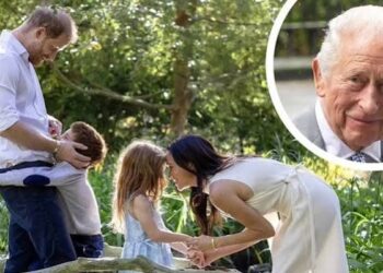 Prince William’s trust in Harry is gone
