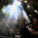 SF supes give final OK to cannabis cafes to offer food, drinks and entertainment