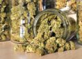 San Francisco supervisors approve cannabis cafés offering food, live entertainment