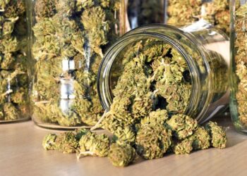 San Francisco supervisors approve cannabis cafés offering food, live entertainment