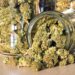 San Francisco supervisors approve cannabis cafés offering food, live entertainment
