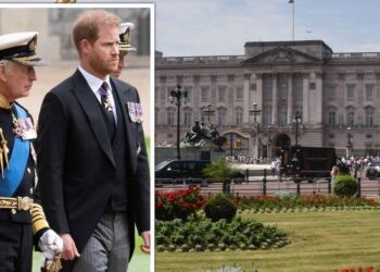 Should King Charles let Prince Harry stay at Buckingham Palace? | Royal | News