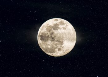 The Full Buck Moon In Aquarius 2026 Horoscope Is Here