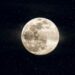 The Full Buck Moon In Aquarius 2026 Horoscope Is Here