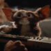 Gizmo plays keyboard