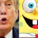Trump White House's SpongeBob Post Spectacularly Backfires After Fans Explain The Joke