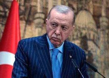 Turkish comedian sent to jail to await trial on charges of insulting Erdogan