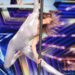 Veronika Goroshkova performing on the AGT stage.