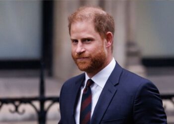 What Happened to Prince Harry During UK Visit?