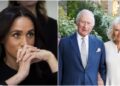 Why were King Charles, Camilla the only royal meeting with Archie, Lilibet? Insider