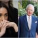 Why were King Charles, Camilla the only royal meeting with Archie, Lilibet? Insider