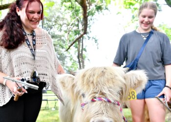 York County weekend events include book fest, butterfly train and music