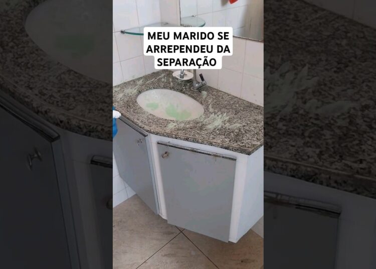 HISTÓRIA DE SEGUIDORA.     #histórias #limpeza #contandohistoria #fofoca #rotina #storytelling