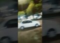O movimento em realeza