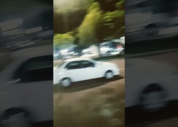 O movimento em realeza