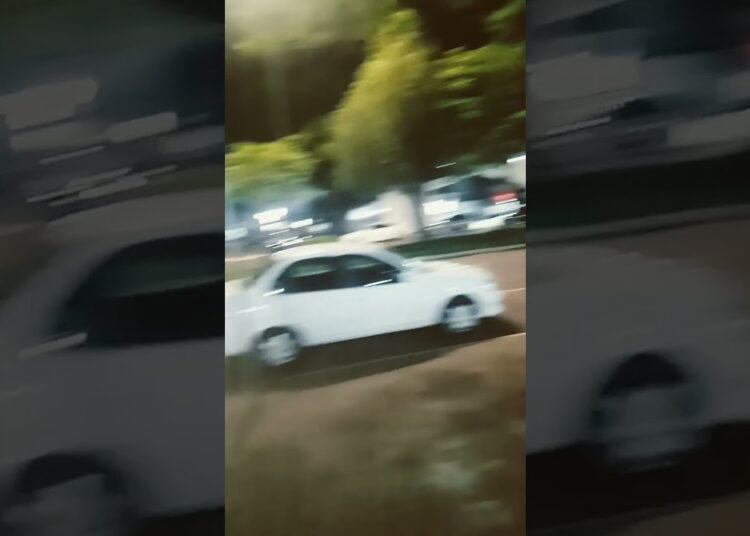 O movimento em realeza