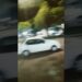 O movimento em realeza