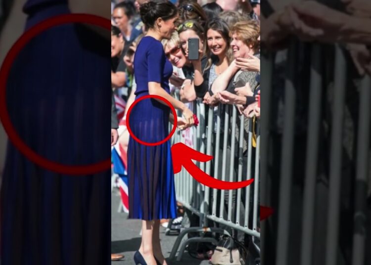 Las EMBARRADAS con el  vestuario de los miembros de la realeza #katemiddleton