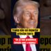 #trump não vai deportar príncipe #harry: ‘Tem problemas demais com a esposa’ #meghanmarkle #realeza