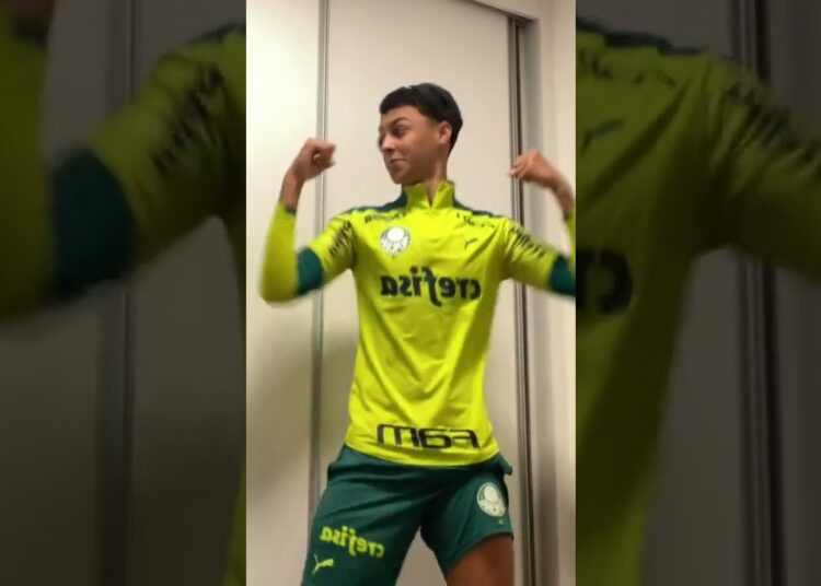 RAFA BRASIL DANÇANDO –  |.  {. TIK TOK DOS FAMOSOS.  }