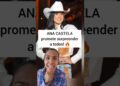 Por essa EU NÃO ESPERAVA! 😱👀 #anacastela #fofocas #notícias #famosos #sbt #novela