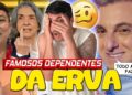 FAMOSOS QUE CURTEM A VERDINHA
