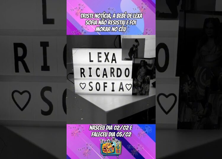 Infelizmente a filha da cantora Lexa não resistiu 😭 #fofoca #noticias
