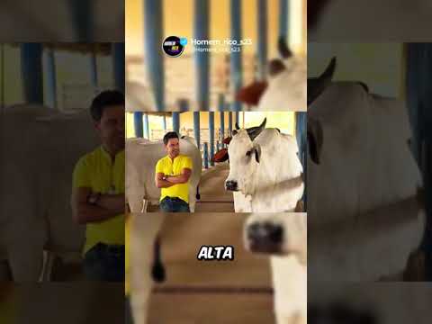 As 5 Fazendas Mais Caras de Celebridades no Brasil