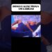 #entreterimento #bbb #fofocandosobrebbb #fofocas #famosos