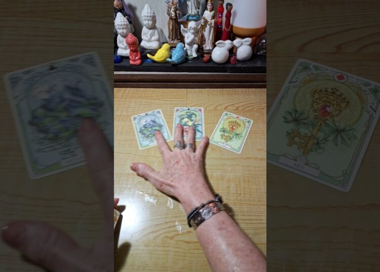 CUIDADO PARA NÃO  SE ENVOLVER  COM FOFOCAS!