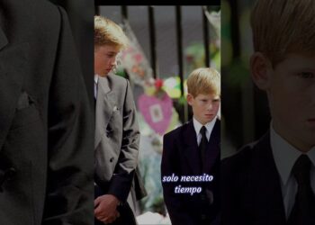 lady di #monarquia #realeza #reinaisabelii #ladydi #ladydiana #viral #fyp #dianadegales #rey #isabel