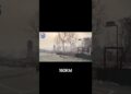 Evacuação em Massa: Celebridades Fogem dos Incêndios