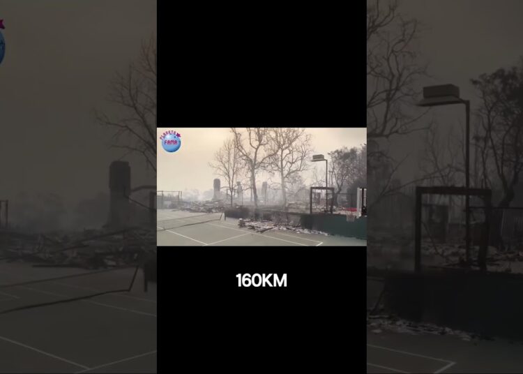 Evacuação em Massa: Celebridades Fogem dos Incêndios