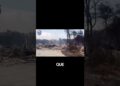 Incêndios em Los Angeles: Impacto nas Celebridades