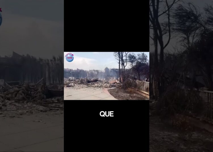 Incêndios em Los Angeles: Impacto nas Celebridades