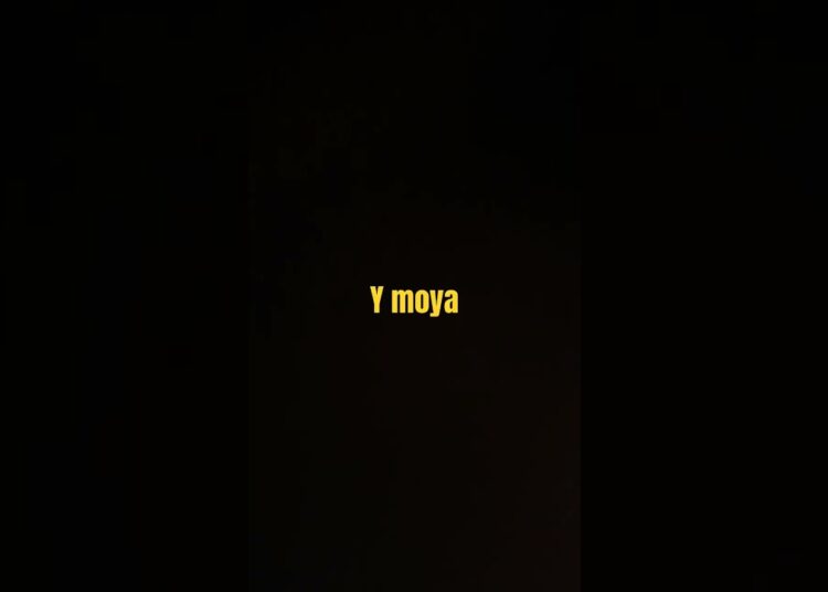 Vamos realeza