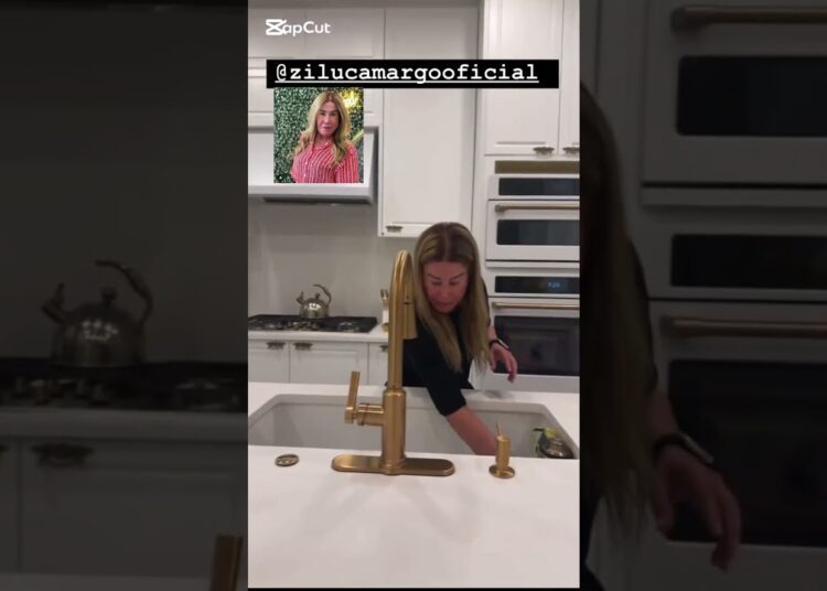 Zilu Camargo Limpando a Cozinha❤️😊 Famosos & Notícias🌟📲