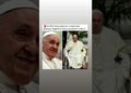 Papa Francisco apresentou melhoras 🙏 #fofocas #fofoca #papafrancisco